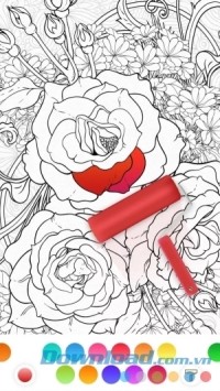 InColor cho Android có bảng màu đẹp