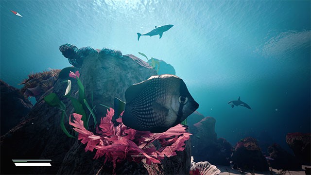 Thám hiểm đại dương bất tận với góc nhìn động vật biển trong Infinite Blue