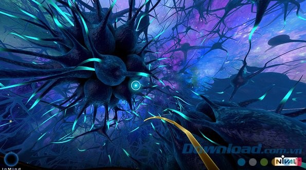 Khám phá não bộ