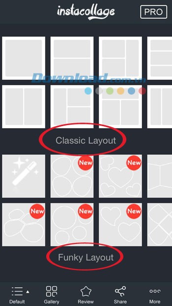 Bố cục ảnh 2D và 3D