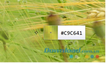 Chỉ một cú nhấp chuột, người dùng sẽ lấy ngay được mã màu ảnh như ý