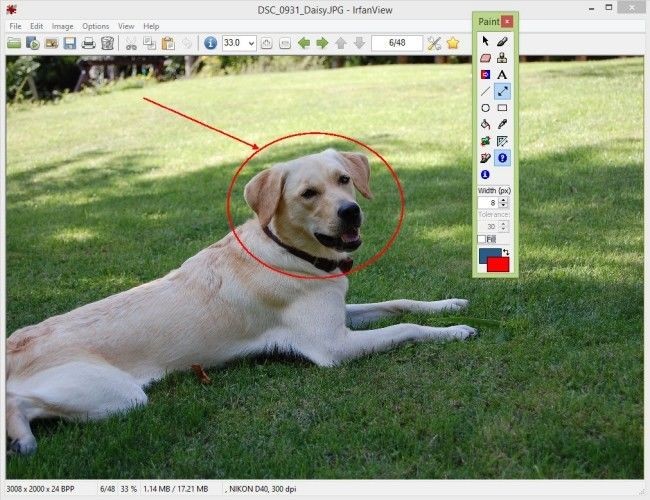Giao diện chỉnh sửa ảnh của IrfanView
