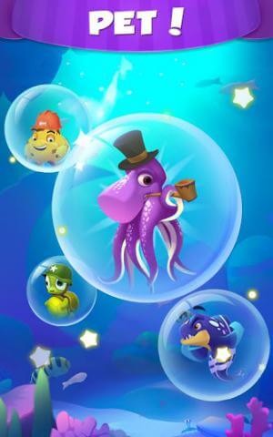 Thu thập các con pet