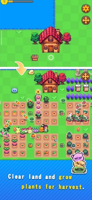 Dọn sạch khu đất và trồng trọt để thu hoạch