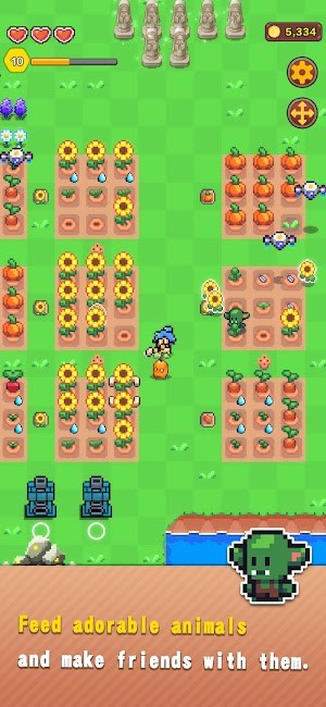 Chăm sóc các loài động vật và làm bạn với chúng