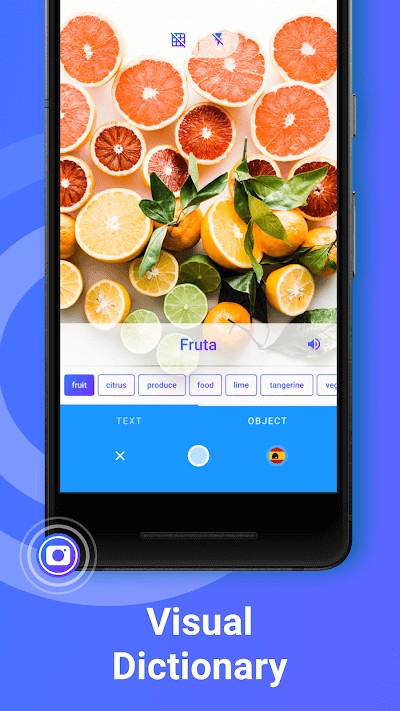 iTranslate Translator & Dictionary cho Android