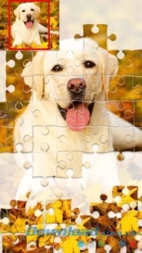 Jigsaw1000 cho Android có bộ sưu tập tranh tuyệt đẹp