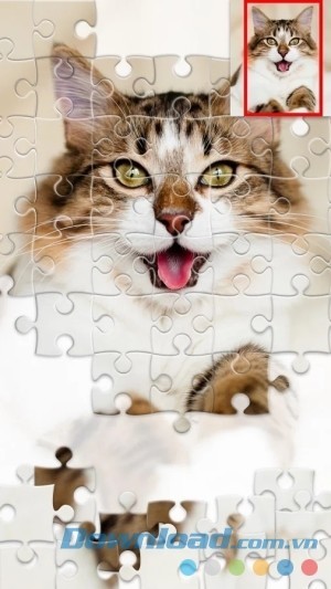 Bộ sưu tập tranh đa dạng của Jigsaw1000 cho Android