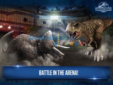 Chiến đấu trong đấu trường