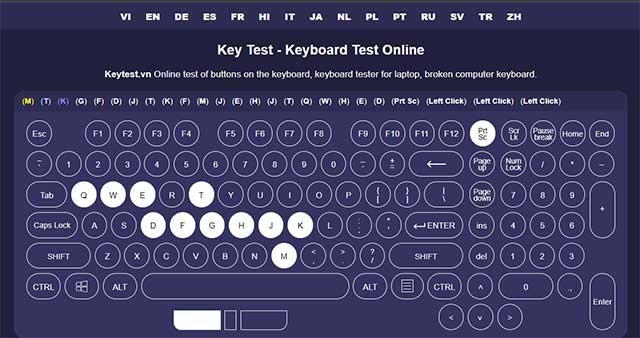 Giao diện của trang web được sắp xếp hợp lý và dễ hiểu