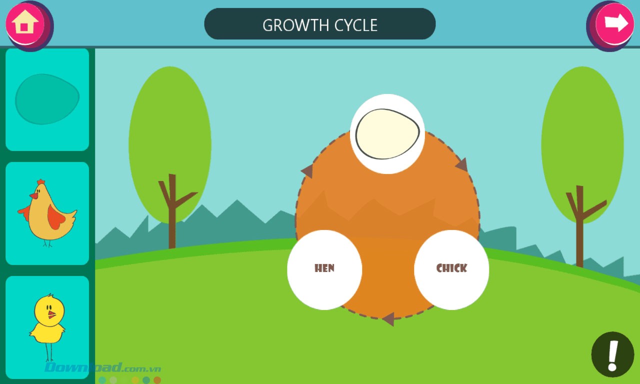 Quy trình sự sống