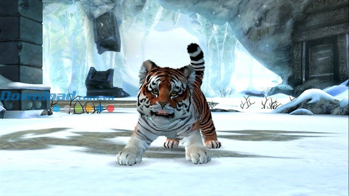 Hình ảnh chú hổ Bengal dễ thương trong game Kinectimals Unleashed
