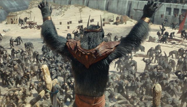 Tương lai của loài khỉ và con người sẽ được định hình thông qua cuộc phiêu lưu của Noa và Mae