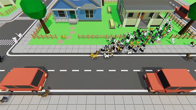 Chú mèo có số lượng mèo đông nhất sẽ chiến thắng game KITT.IO