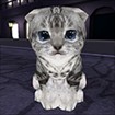 Kitten Rush: Game Mèo Con Chạy Bộ Vui Nhộn