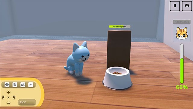 Chứng kiến sự trưởng thành mỗi ngày của mèo con