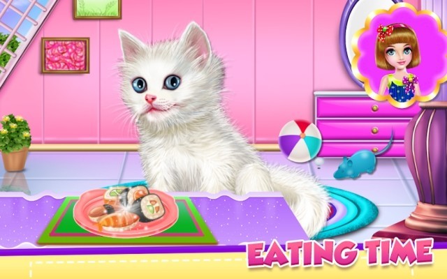 Vui chơi và cho mèo ăn những đồ ăn thơm ngon