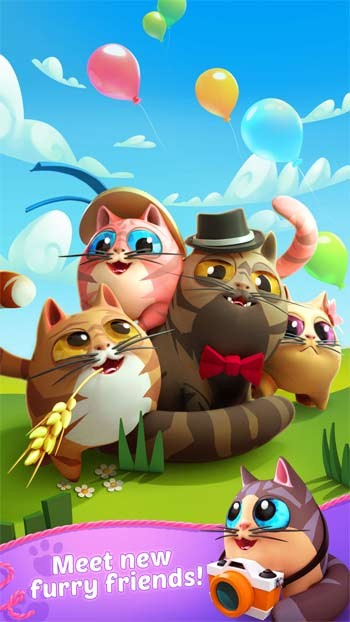 Bước vào thế giới Kitty Journey và gặp gỡ những người bạn lông xù đáng yêu