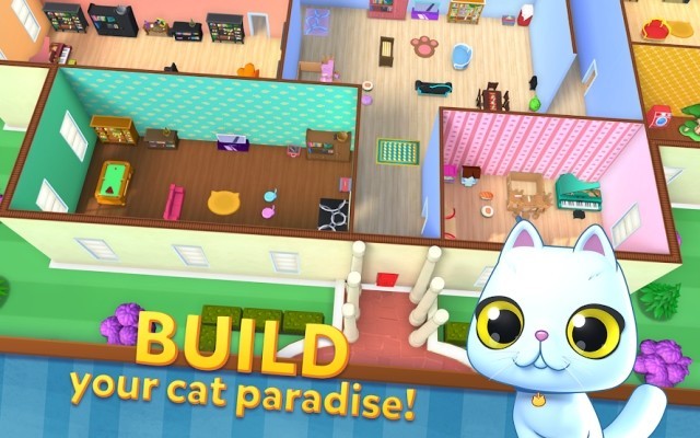 Xây dựng một thiên đường dành cho loài mèo