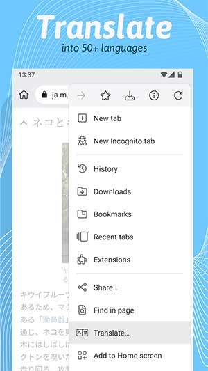 Dịch web tiện ích
