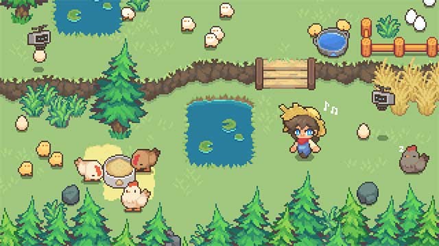 Nuôi gà để sản xuất trứng, sau đó bán chúng và mở rộng trang trại