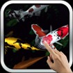 Magic Touch: Koi Fish - Hình nền cá Koi cho Android