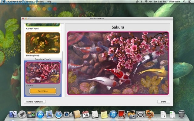 4 loại ao cá khác nhau