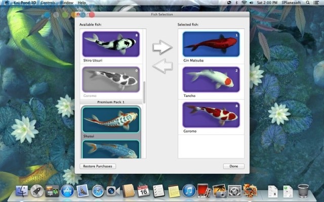 10 loài cá cho người dùng lựa chọn