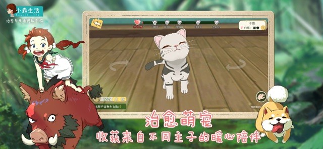 Chơi với những người bạn thú đồng hành dễ thương