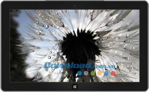 Large and Small theme