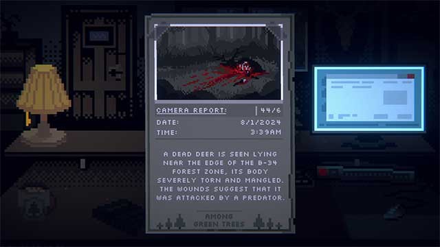 Khám phá quá khứ đen tối của công viên từ các hình ảnh và video báo cáo