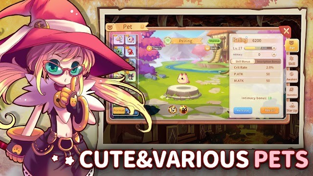 Đồng hành với những con pet dễ thương