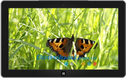 Latvian Nature theme