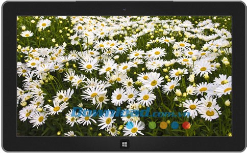 Latvian Nature theme