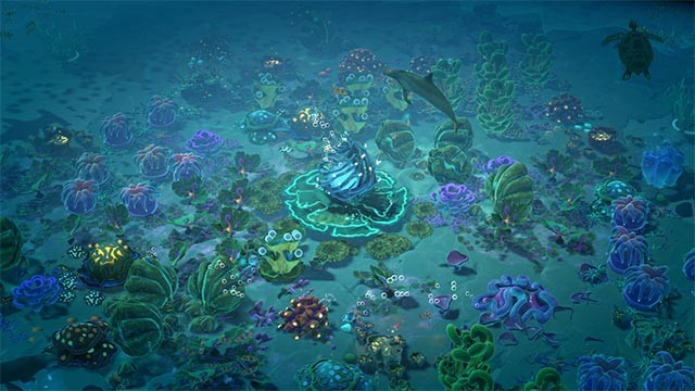 Chế tạo mồi nhử để thu hút hơn 40 loài sinh vật đến với rạn san hô