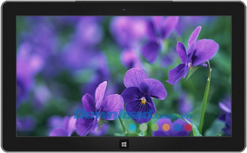 Life in Lavender theme