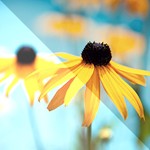 Light Artist 1.5: Phần mềm chỉnh sửa ánh sáng ảnh chuyên nghiệp