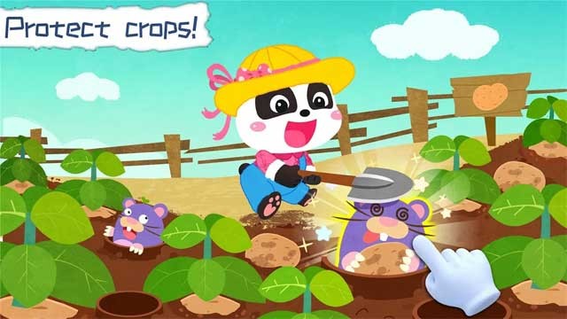 Bảo vệ các loại rau củ khỏi sự phá hoại của các loài gặm nhấm