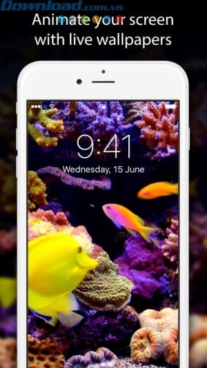 Cài đặt hình nền động cho điện thoại