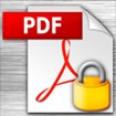 Lizard Safeguard Secure Viewer 2.6.41 - Phần mềm đọc PDF bị khóa