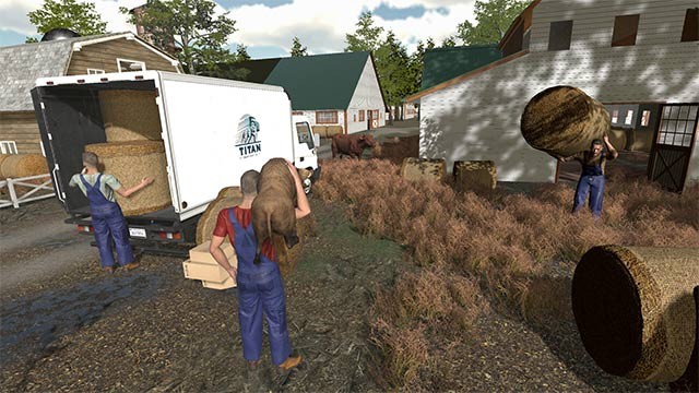 Quản lý đội xe, tuyển nhân viên và bắt đầu với những đơn hàng đầu tiên