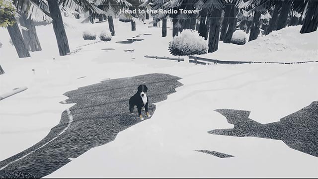 Cùng chú chó trung thành đi săn và kiếm thức ăn