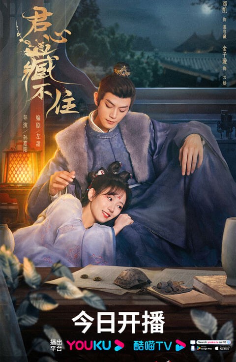 Poster phim Lòng Quân Không Thể Giấu