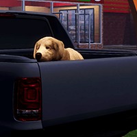 Lost Paws: Game Sinh Tồn Của Chó Hoang Trong Thành Phố