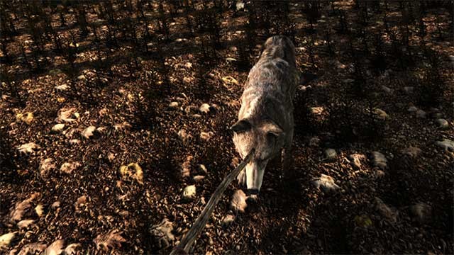 Game có nhiều loài động vật nguy hiểm như sói, gấu hay sư tử núi