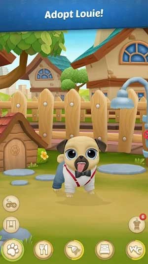 Đây là chú cún Pug dễ thương nhất bạn từng thấy