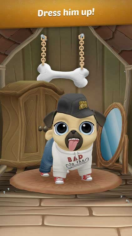 Phối đồ cho chú Pug Louie