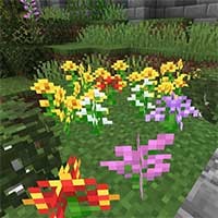 Lush Biomes Mod: Thêm Hoa và Cú Làm Thú Cưng