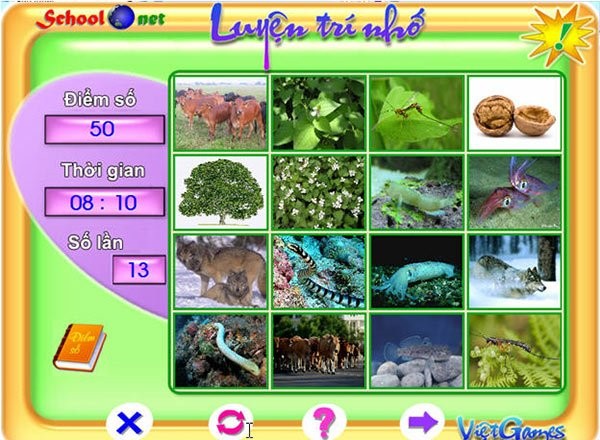 Luyện trí nhớ 6 (Memory 6)