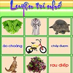 Phần mềm rèn luyện trí nhớ cho bé - Luyện trí nhớ (Memory)